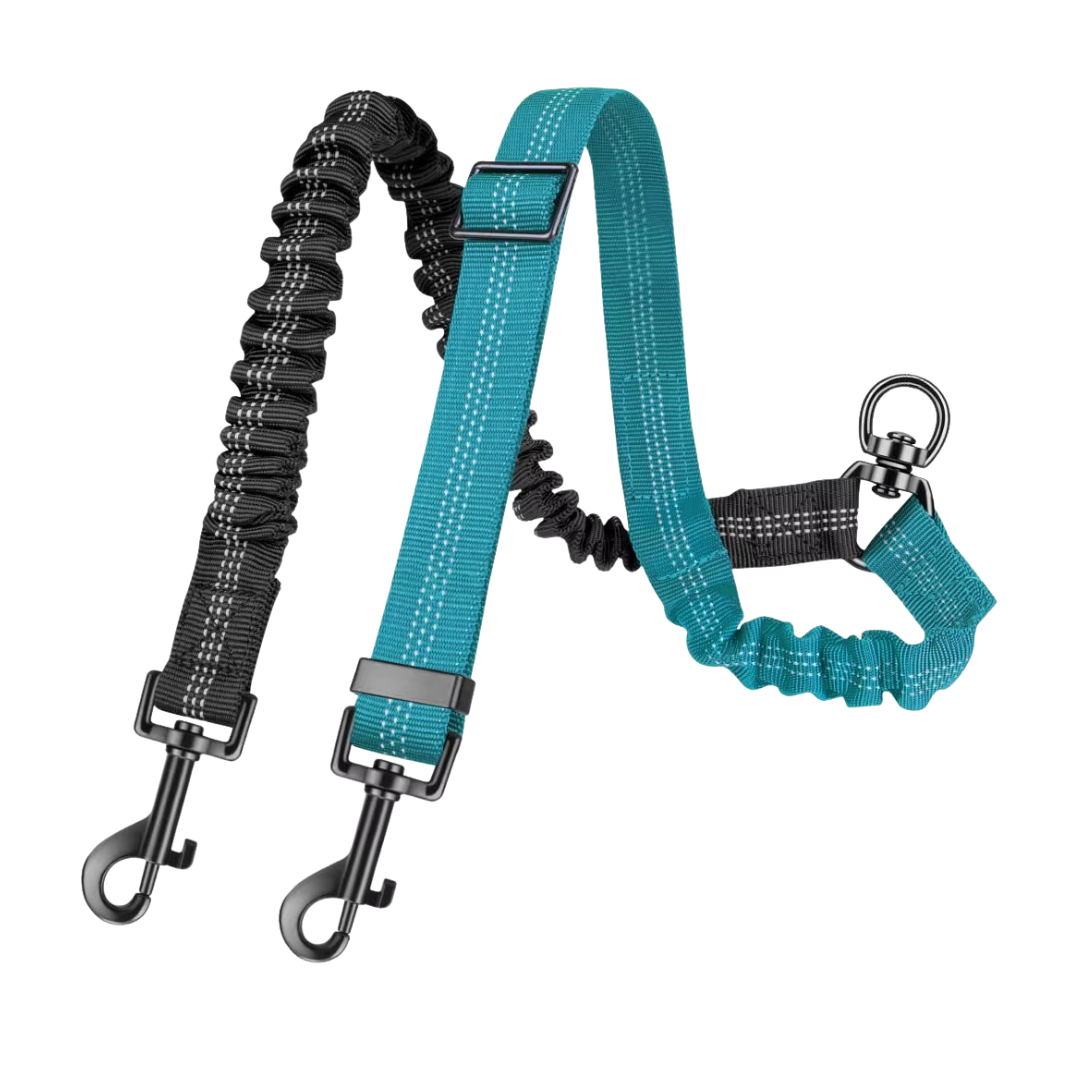 MovaPaw DuoWalk – Elastic Double Leash for Two Dogs