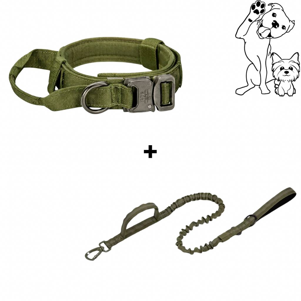 MovaPaw Tactical Setti – Panta + Hihna