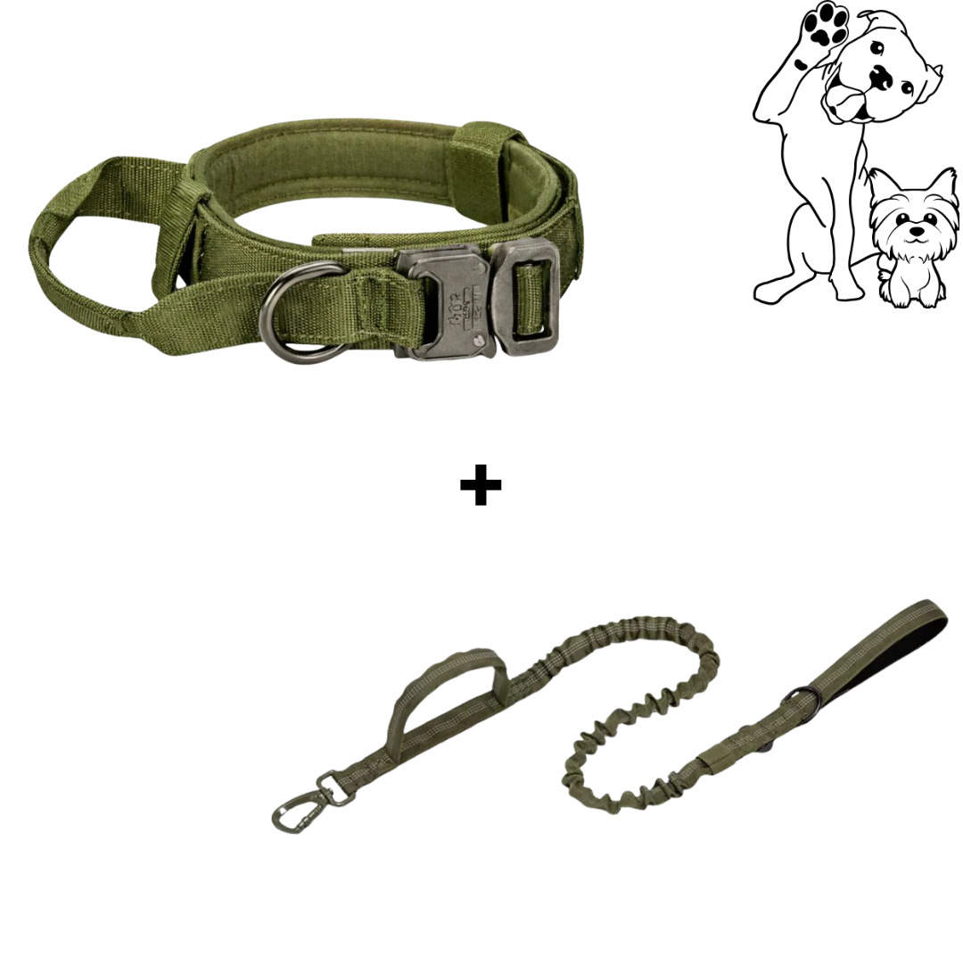 MovaPaw Tactical Setti – Panta + Hihna