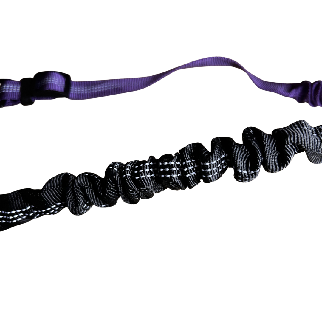 MovaPaw DuoWalk – Elastic Double Leash for Two Dogs