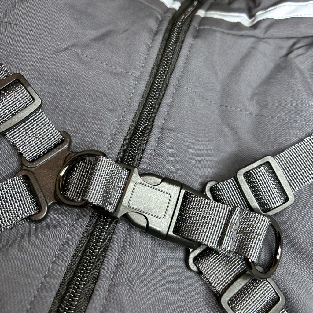 MovaPaw 2in1 Adventure - Jacket