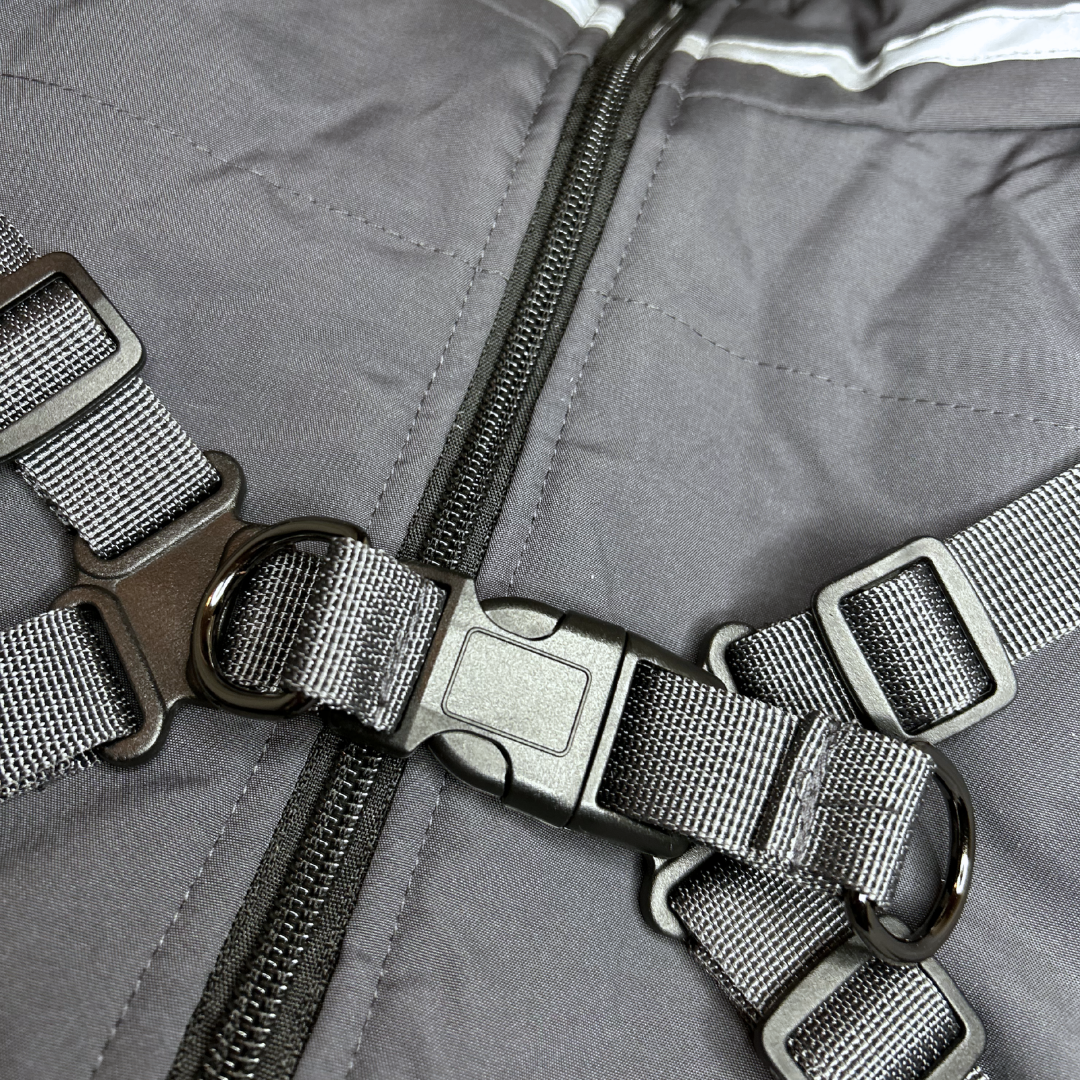 MovaPaw 2in1 Adventure - Jacket