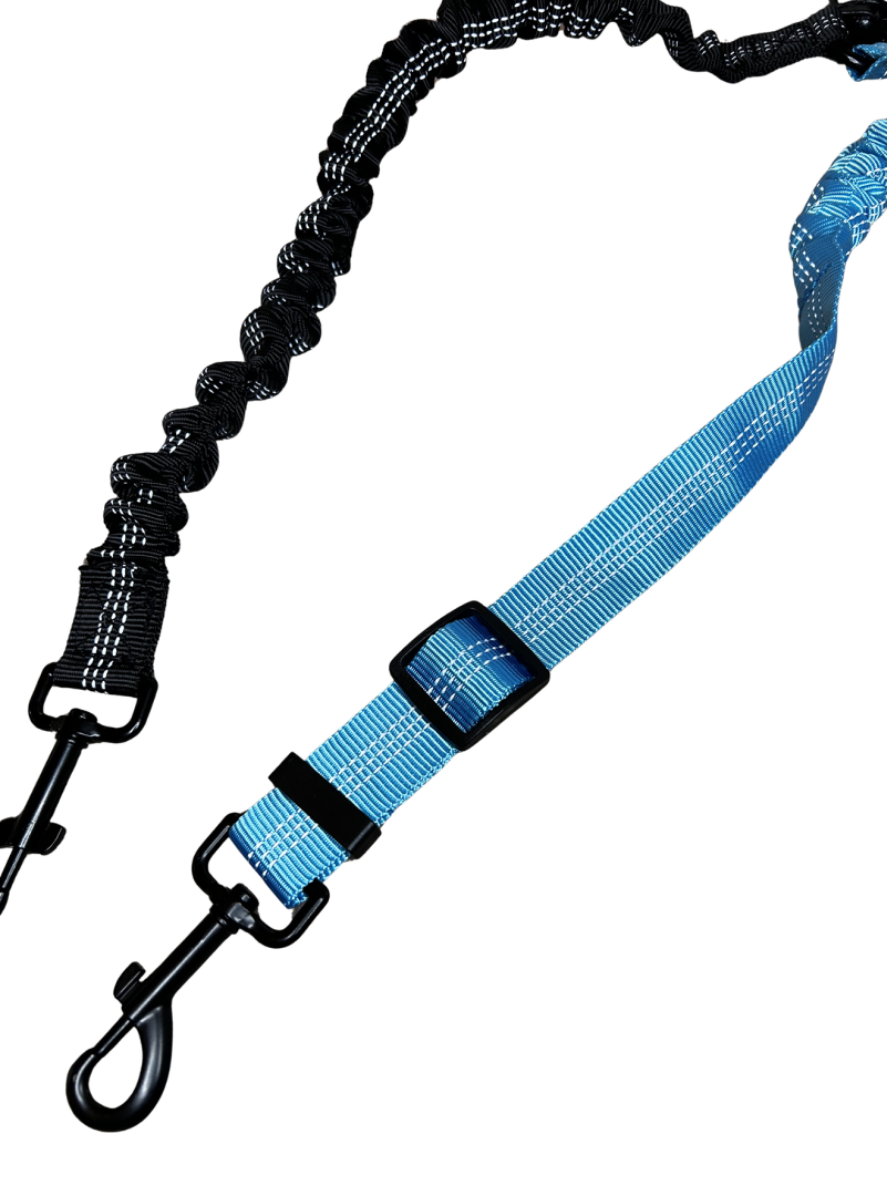 MovaPaw DuoWalk – Elastic Double Leash for Two Dogs