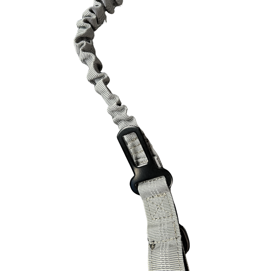 MovaPaw Tactical 2in1 Stretch -koiran hihna